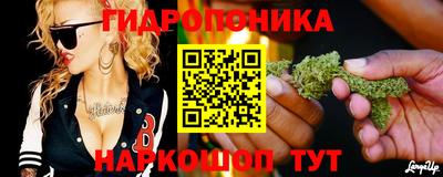 спиды Тара