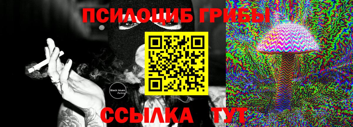 Галлюциногенные грибы прущие грибы Орёл