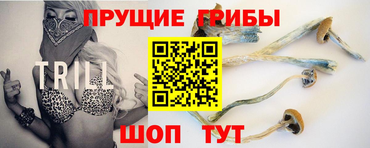 Орёл  Галлюциногенные грибы прущие грибы  Вход с VPN 